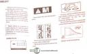 Komatsu-Komatsu Forlift FG20, FG and FD Series, Parts and Drawings Manual 1992-FD25/30-FD25S-FG20-FG20/25/30-FG20S/25/S/30S-FG30G-FG30SG-06